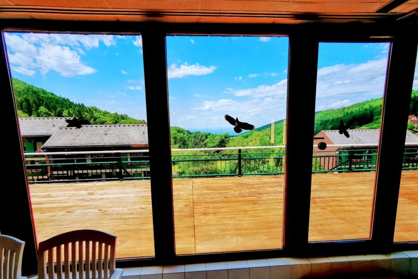 Schwarzwald Loft mit Schwimmbad und herrlicher Aussicht - foto 21