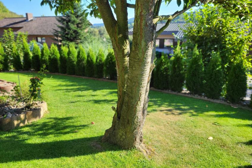 Apartment mit Hund - foto 18