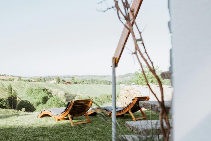 House The View - foto 29