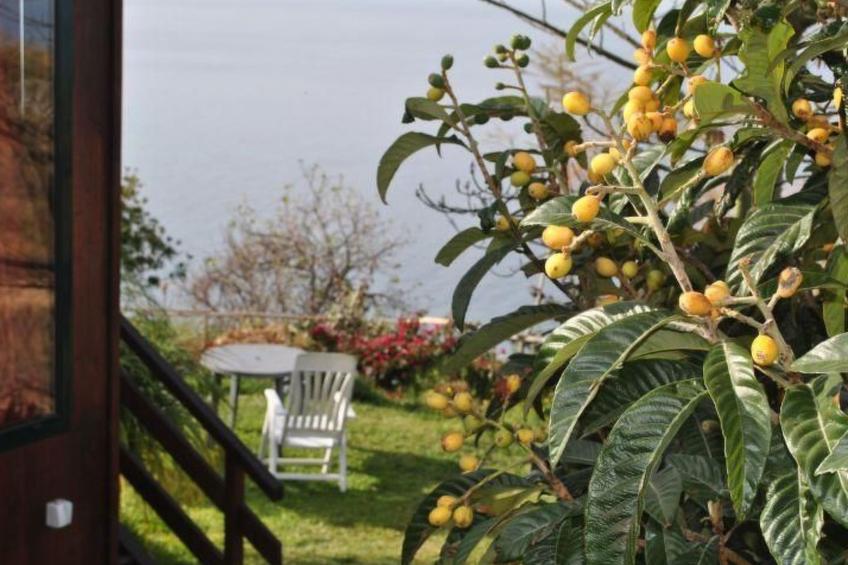 in Canhas mit Schönem Garten - foto 9