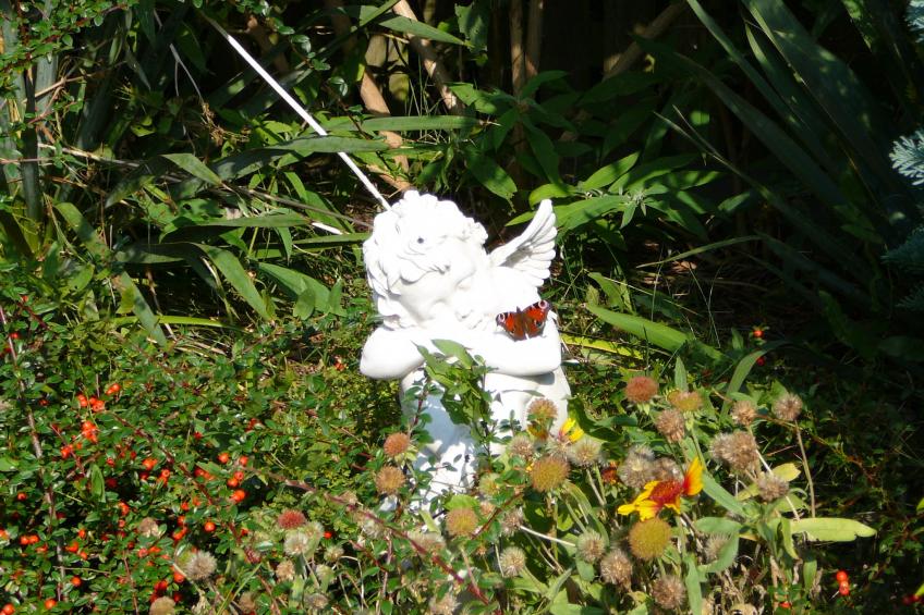 Usedom - foto 40