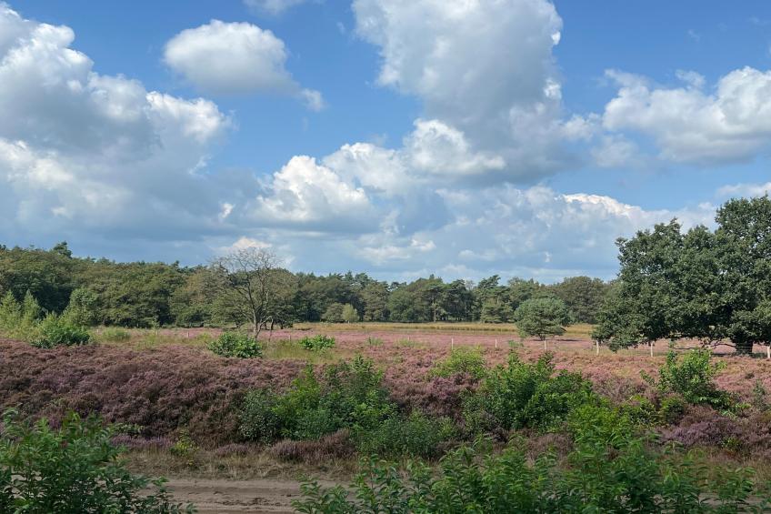 De Riek 4P - foto 23