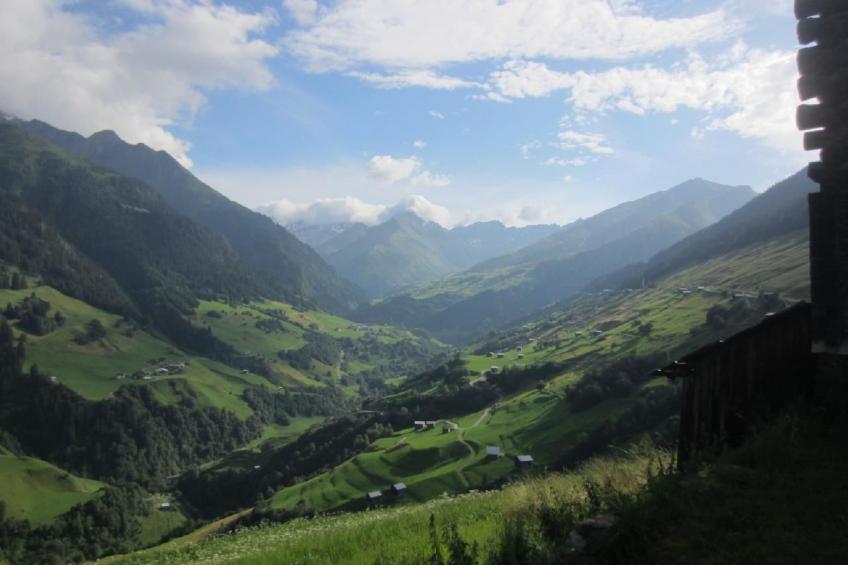 Sonnige Ferienwohnung mit Terrasse,idyllische Lage - foto 12