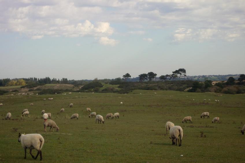 Studio au 1er étage - foto 23