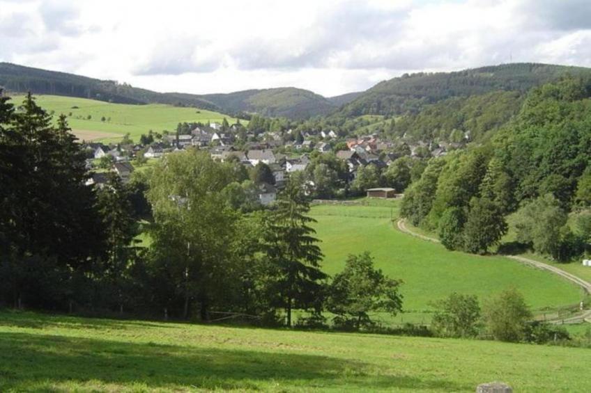Liesen - foto 37