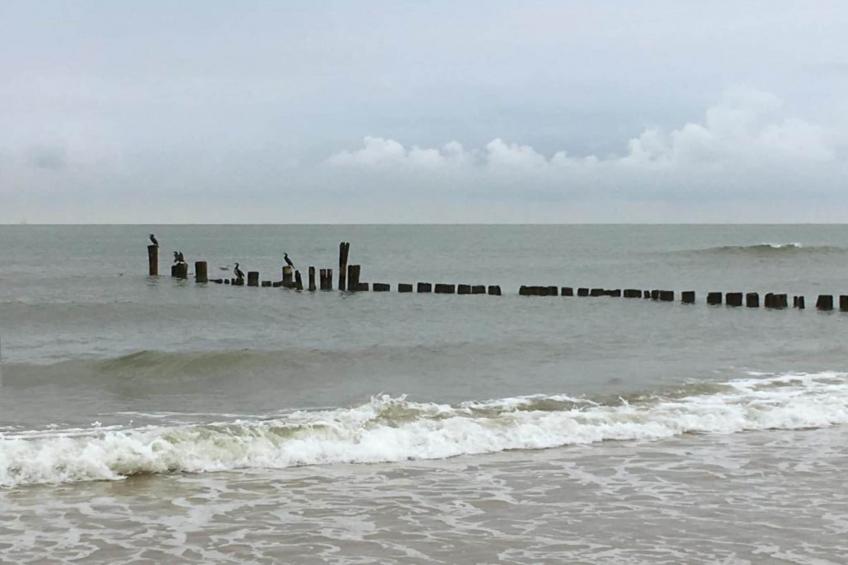 De Schone Leij - foto 18