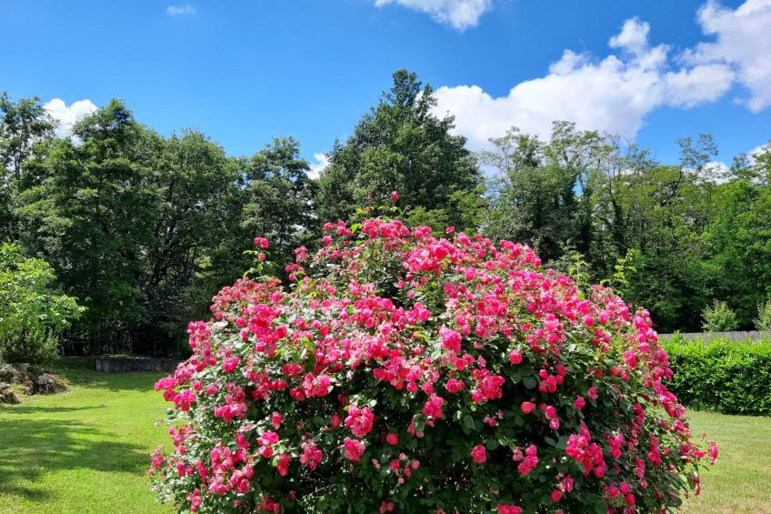 Romantische Villa mit weitläufigem Garten - foto 43