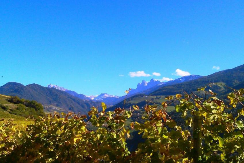 mit Terrasse auf einem Bauernhof - foto 9