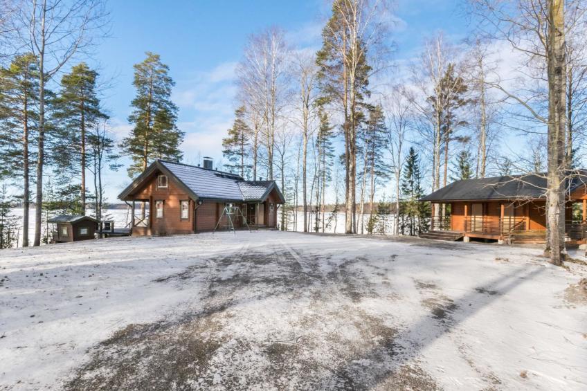 Puolen hehtaarin metsä - foto 24