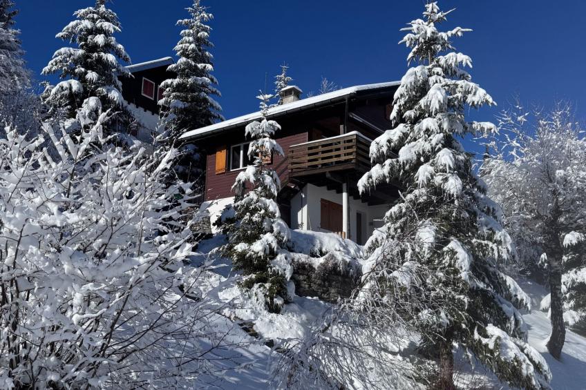 Chalet Hörler - foto 35