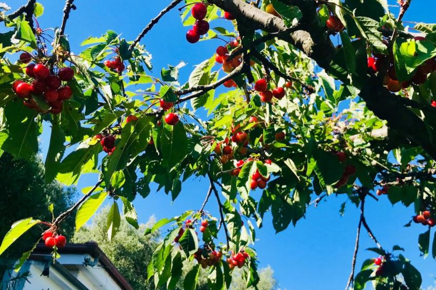 Casa Uliveto - foto 16