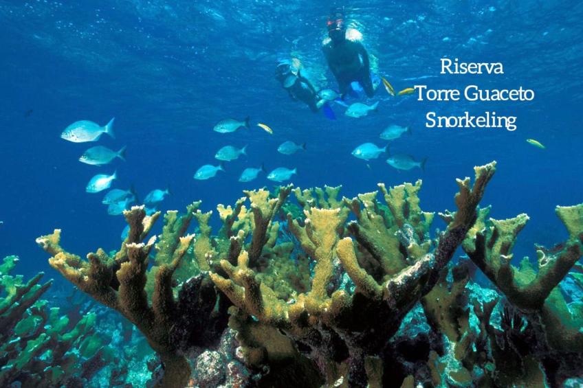 Trullo Alcova  in der Nähe des Meeres - foto 28