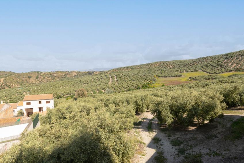 Casa Salinas - foto 27