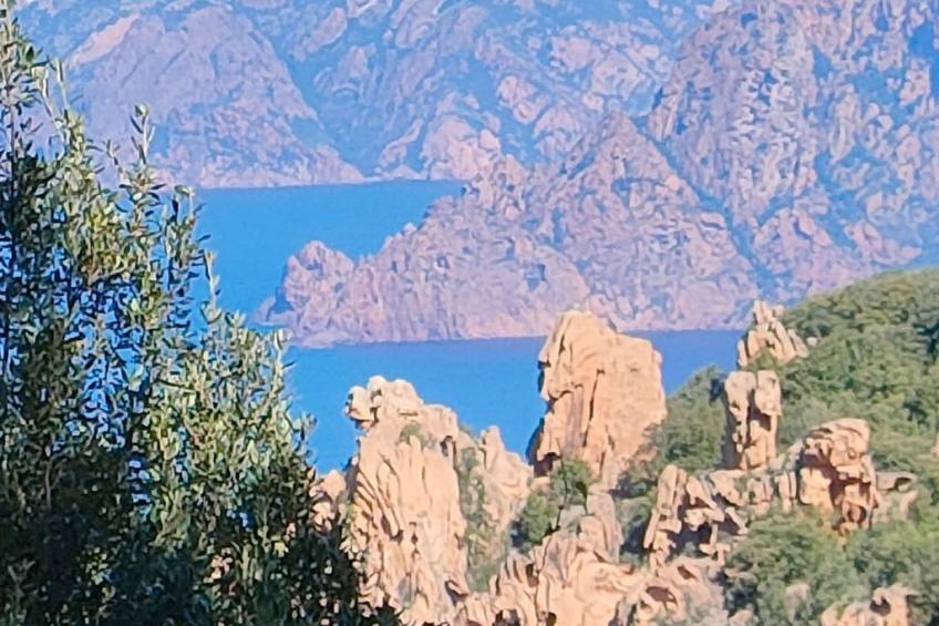 Wohnung "Authentisches korsisches Haus" - foto 14