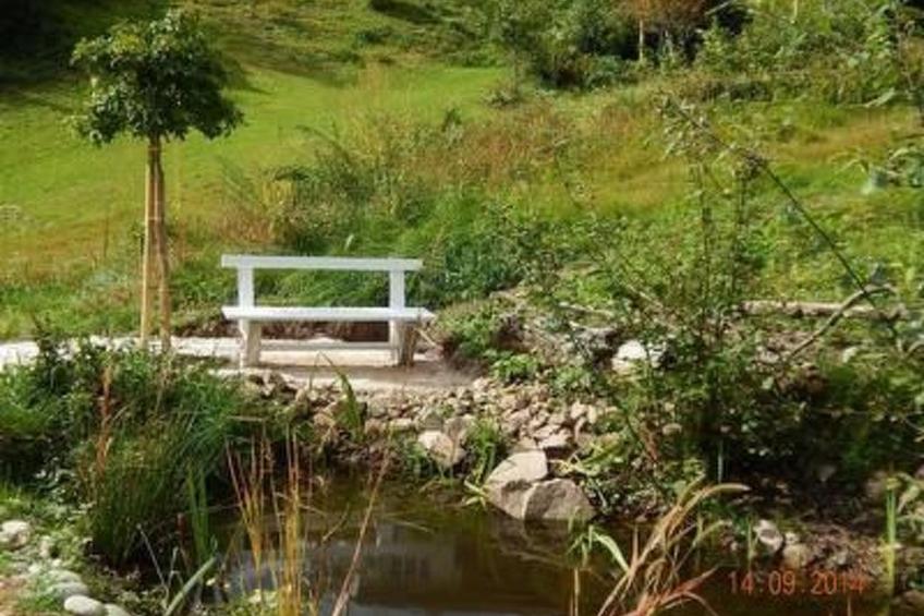 Haus Wiesental - foto 33