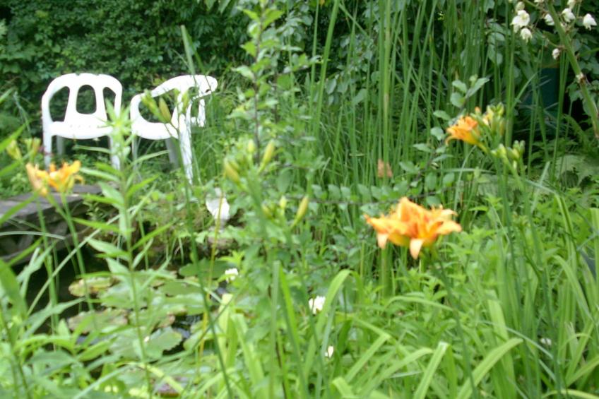 Urlaub am Feigenbaum in Nußloch - foto 11