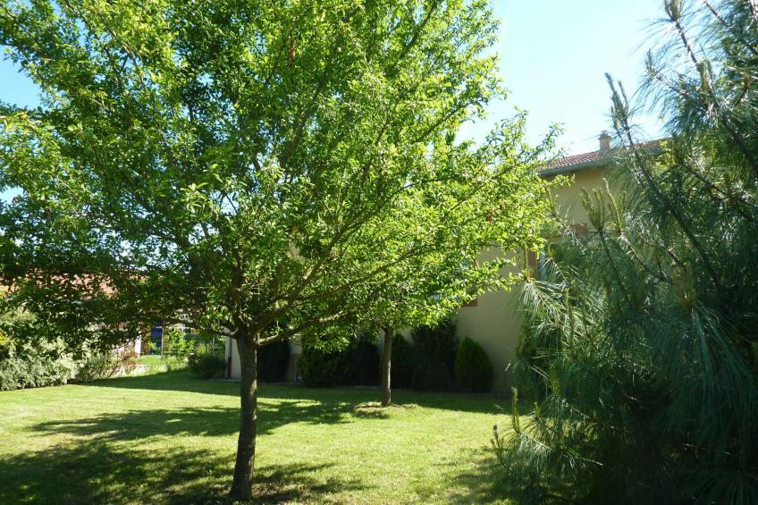 für 6 Personen + 1 Kind ca. 188 m²in Damelevières, Lothringen (Meurthe-et- - foto 7