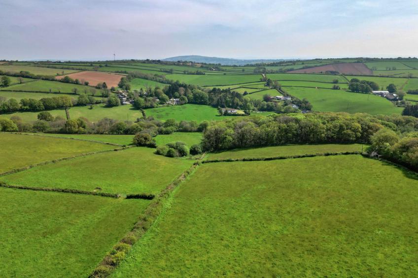 Cutkieve Farm Cottage - foto 28