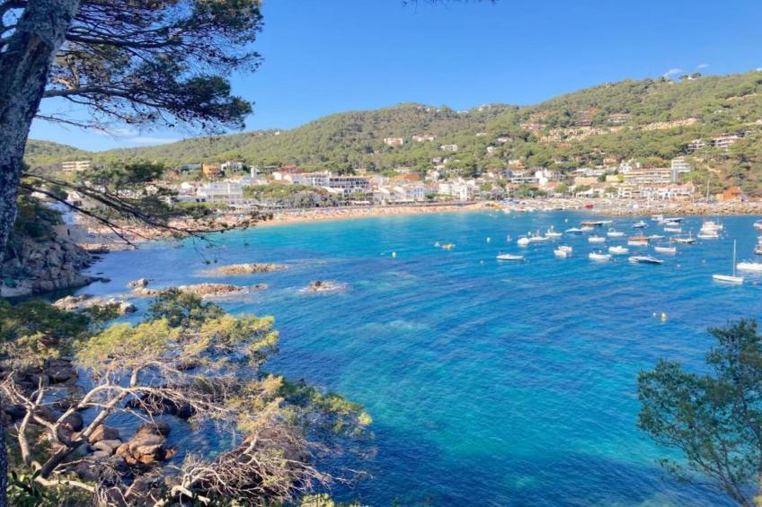 Canadell 1 - foto 31