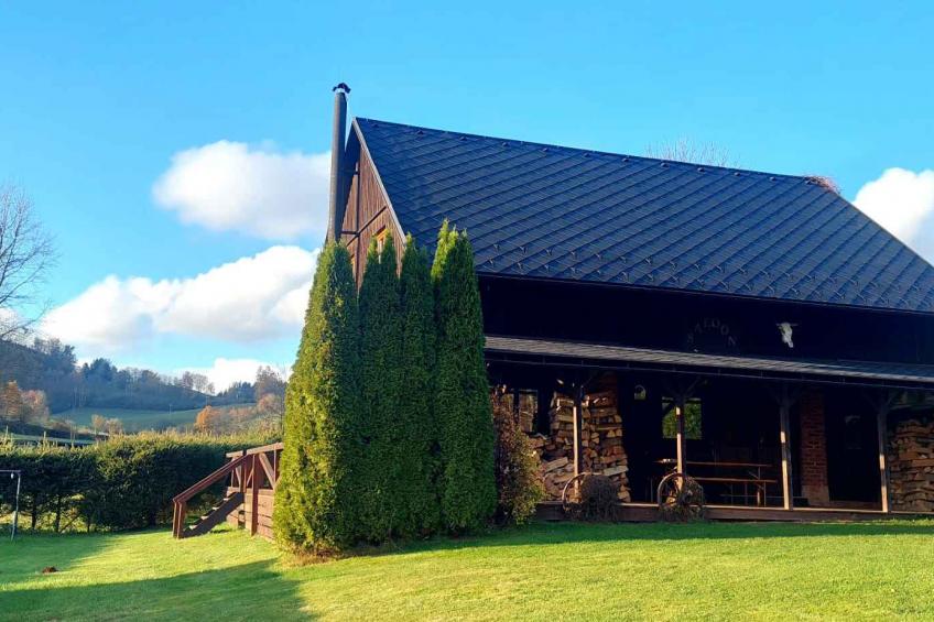 maison de vacances avec piscine extérieure et un pub de style western - BF-5X29