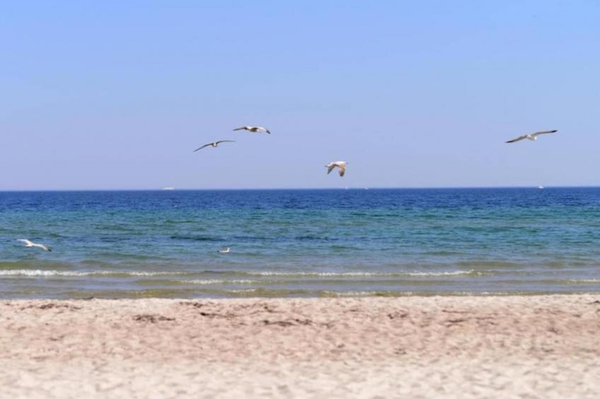 Ostseewind - foto 28
