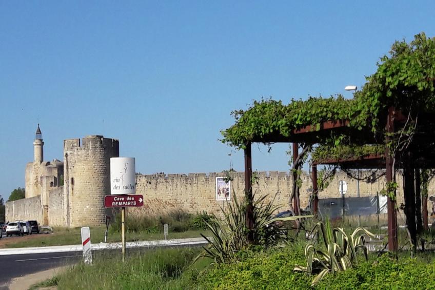 Maison de vacances - VERGÈZE - foto 32