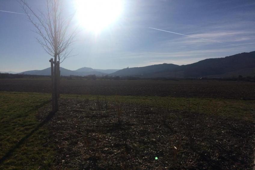 Magnifique Appartement Alsacien - foto 33