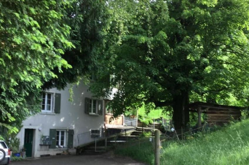 Hof unterer Dürrenberg / Langenbruck - foto 12