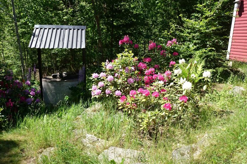 Gemütliches Ferienhaus in Seenähe - foto 3