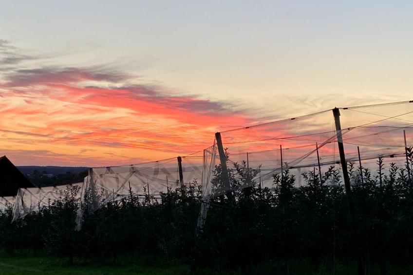 BLICKinsGRUEN - foto 56