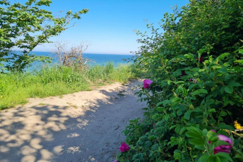 Ferienwohnung Albatross - strandnaher Urlaub Ostseebad Rerik - foto 31