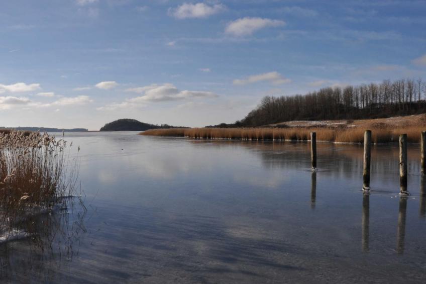 Boddenkiek Seedorf - foto 2