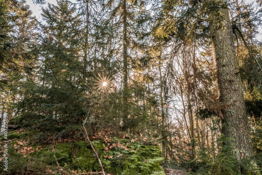 Domaine de Gavaudun - Le gîte Vezou - foto 26