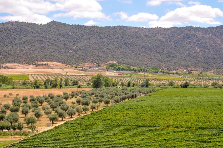 Casa do Caseiro - foto 33