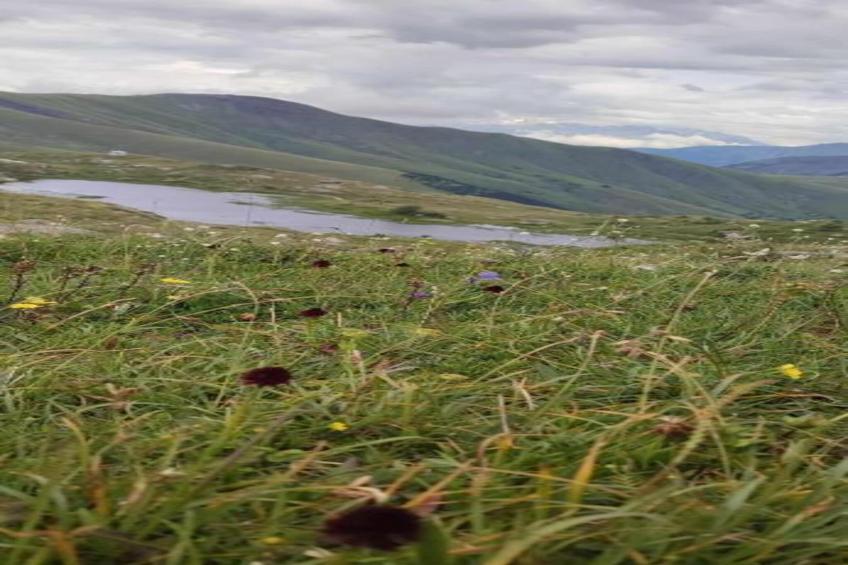 Les Marmottes N°42 - 3P6 - foto 40