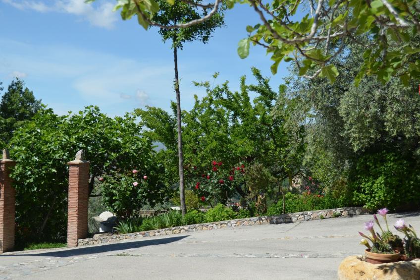 Schönes Haus in Anlage mit Schwimmbad - foto 33