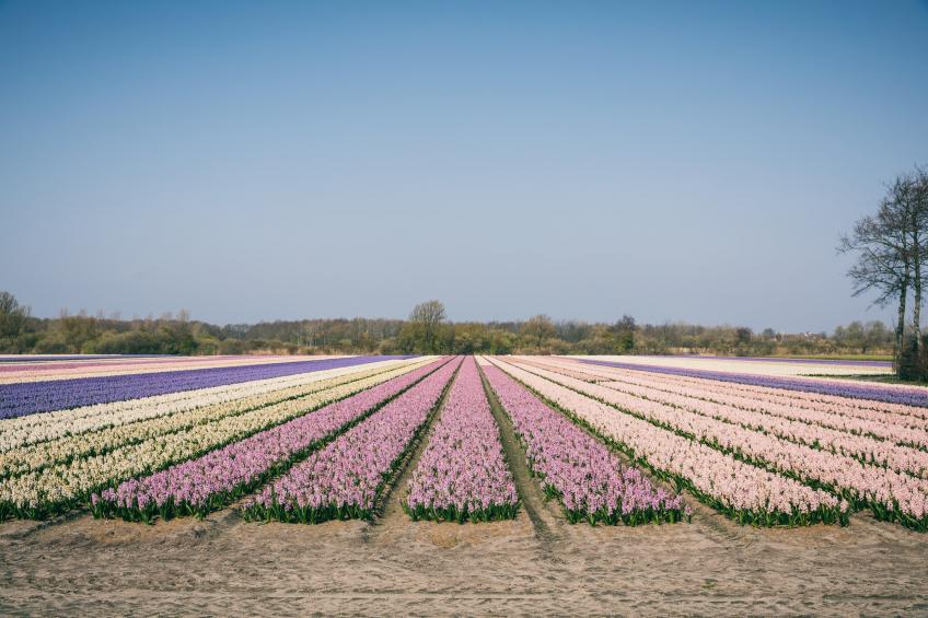 Duinresort Dunimar 3 - foto 21