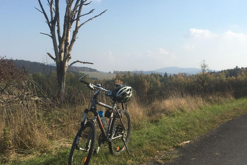 Zillendorf - foto 19