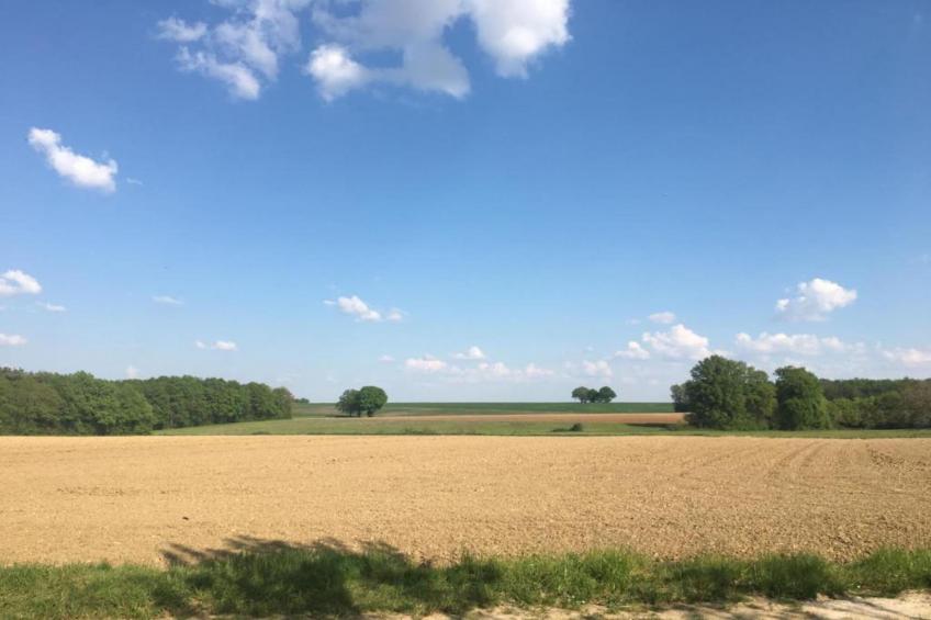 La Campagne - foto 33