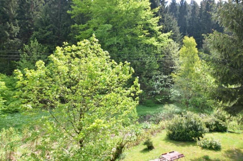 Waldblick - foto 31