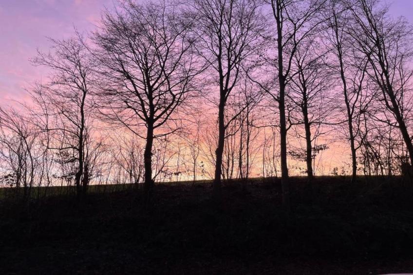 Les Tropiques - foto 30