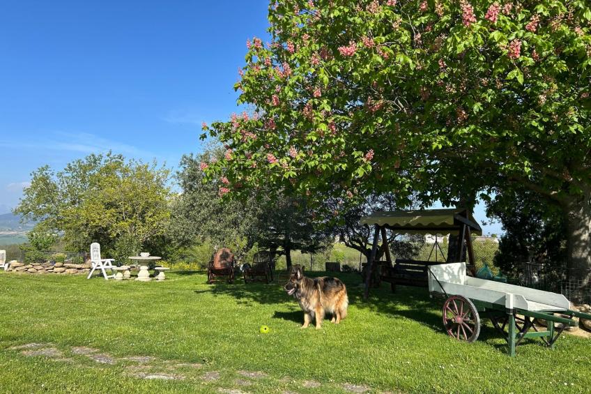 Bauernhaus Santa Maria del Monte - foto 5