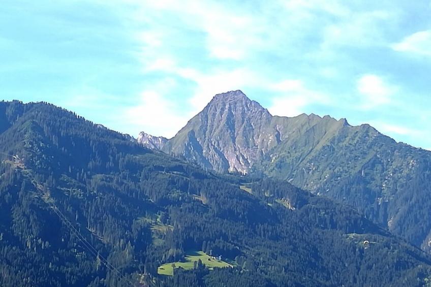 431896 - foto 18