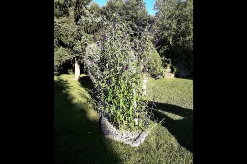 Marco in Eppenschlag - foto 18