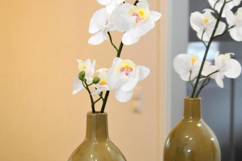 in Feldmannshof mit Grill und Garten - foto 28