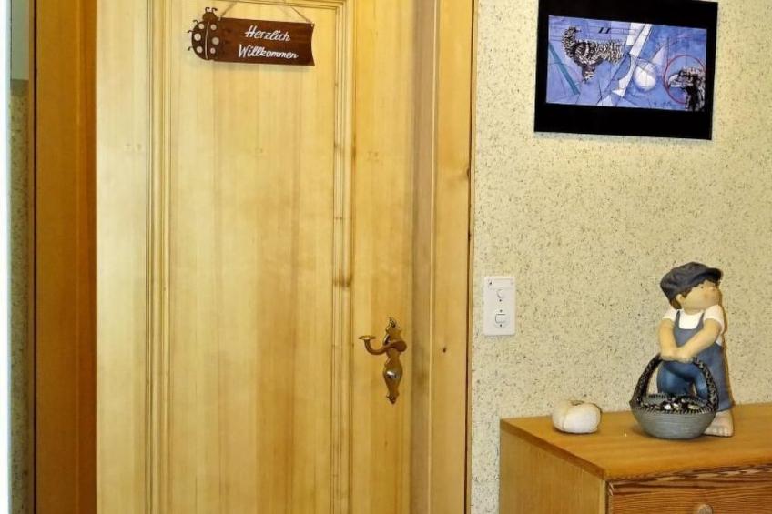 Ers Curtins - foto 18