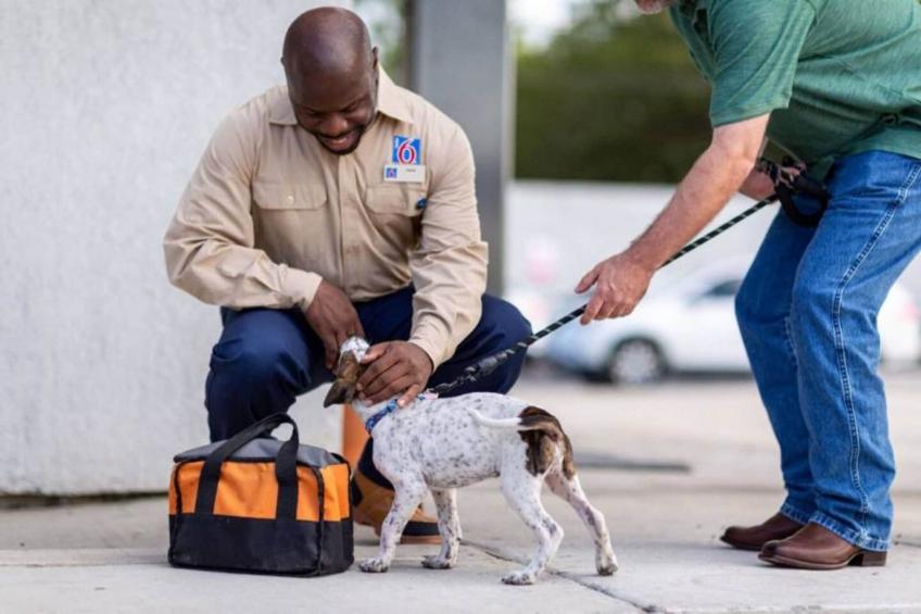 1 King Bed  Smoking - foto 26