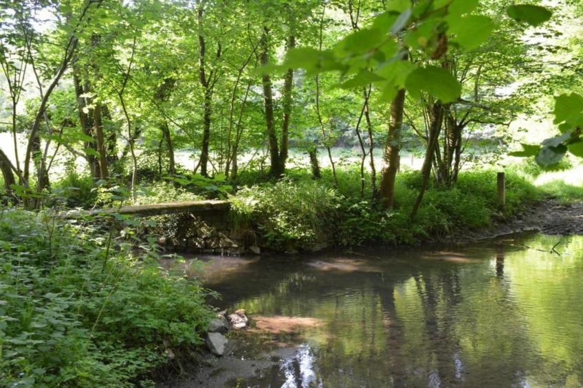 Le Grand Moulin de Denée - foto 38