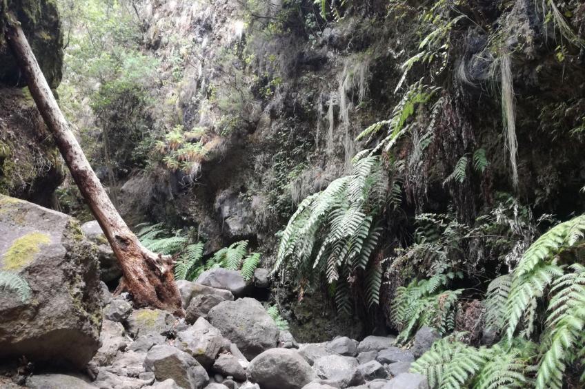 Haus La Majada - foto 33