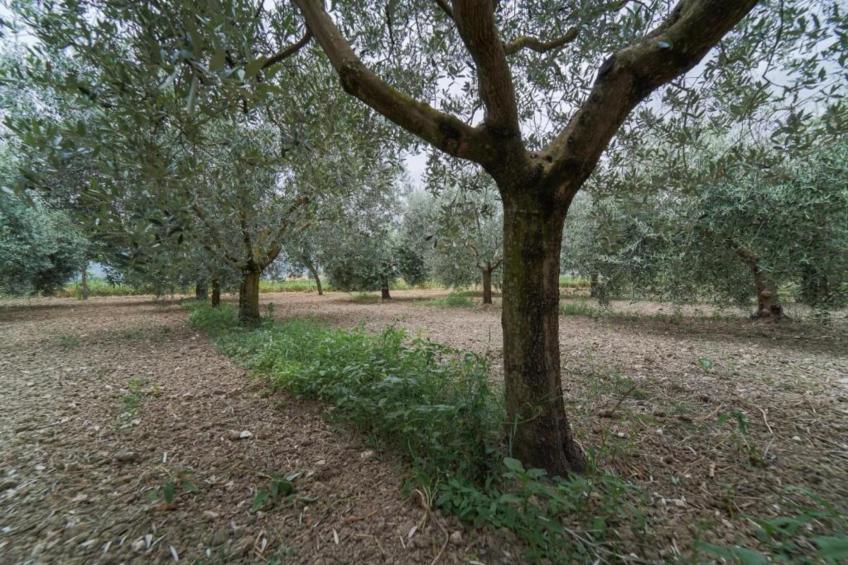 Appartamento 4 persone - foto 40